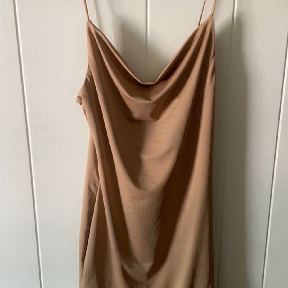 The Naked Dress